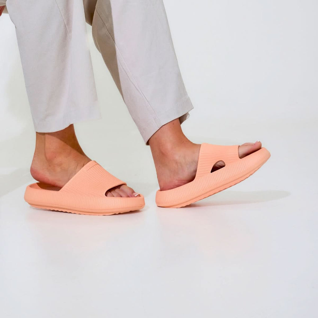 Pammys™ - Originals