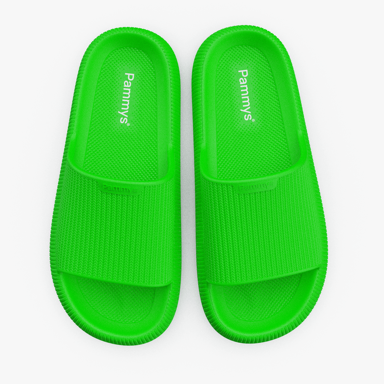 Pammys™ - Originals NEON