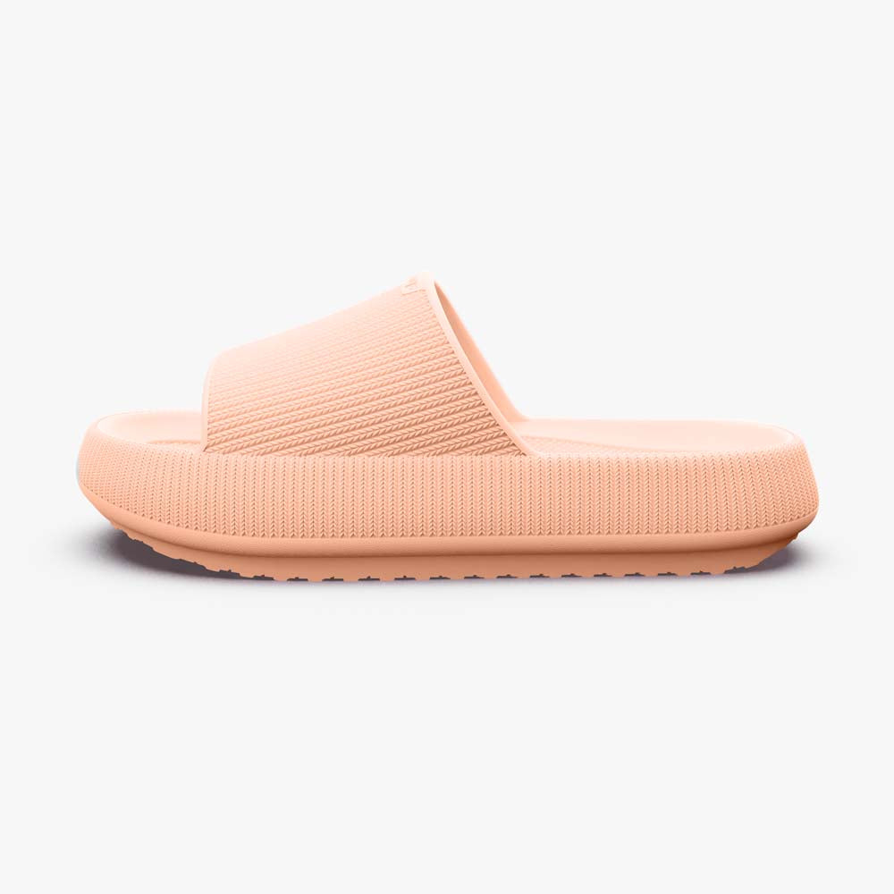 Pammys™ - Originals